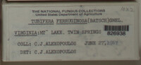 Image Associated With the Occurence